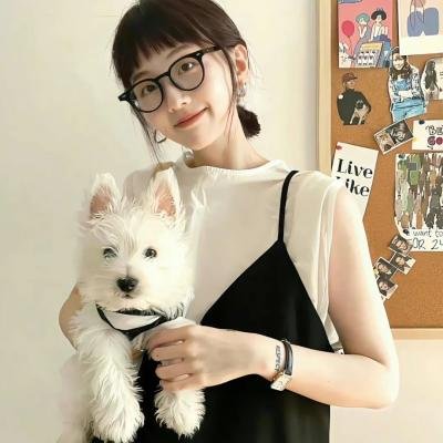 皮克斯短片精选1海报